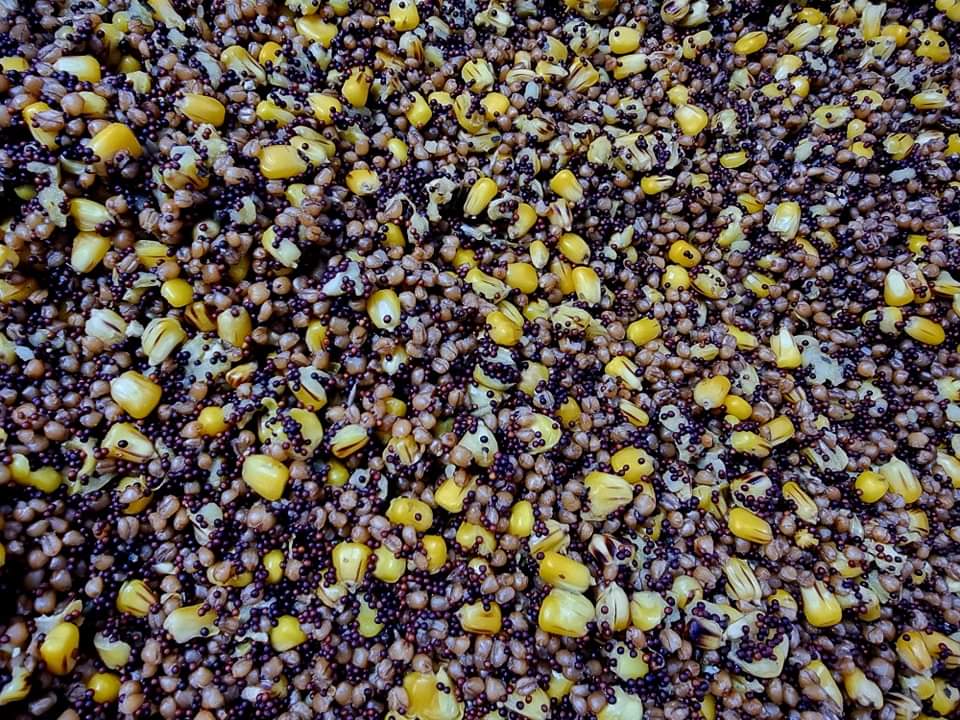 Varený partikel kukurica/repka/pšenica 2,5kg