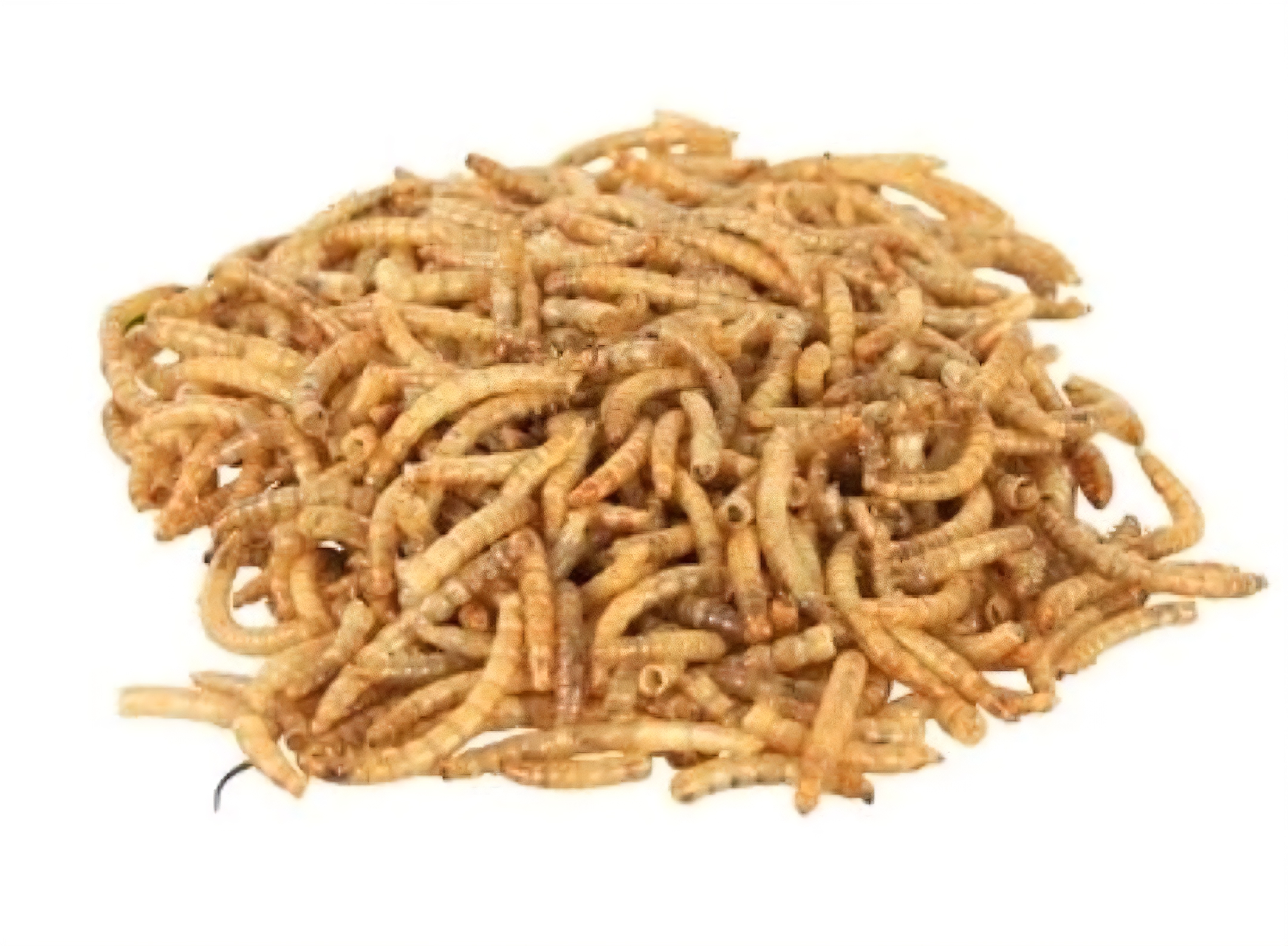 Múčné červy sušené - Objem: 500ml