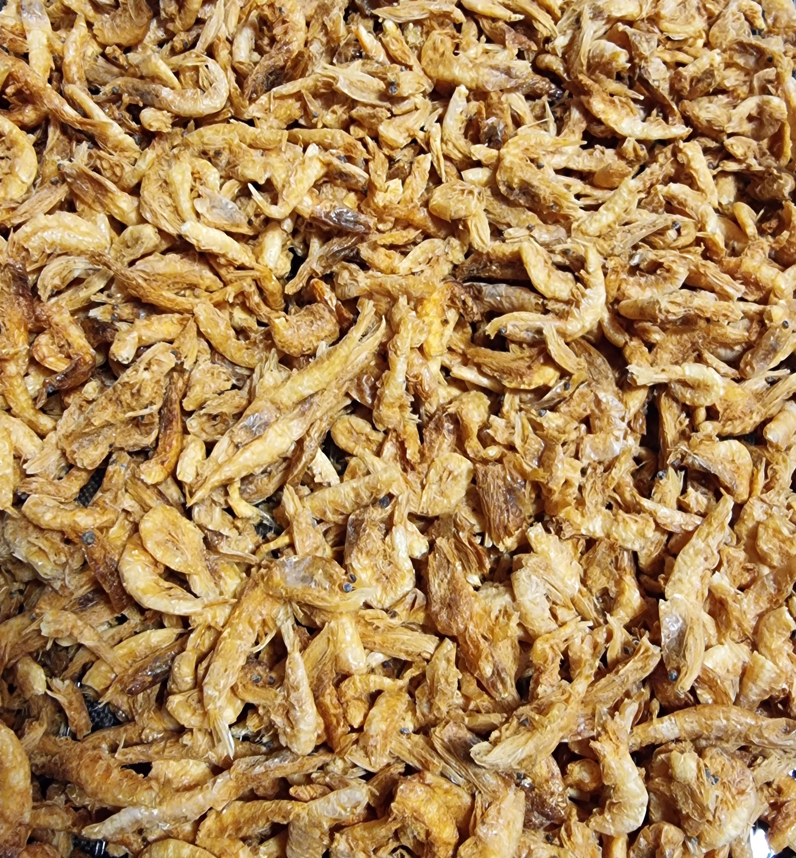 Krill sušený - 100g