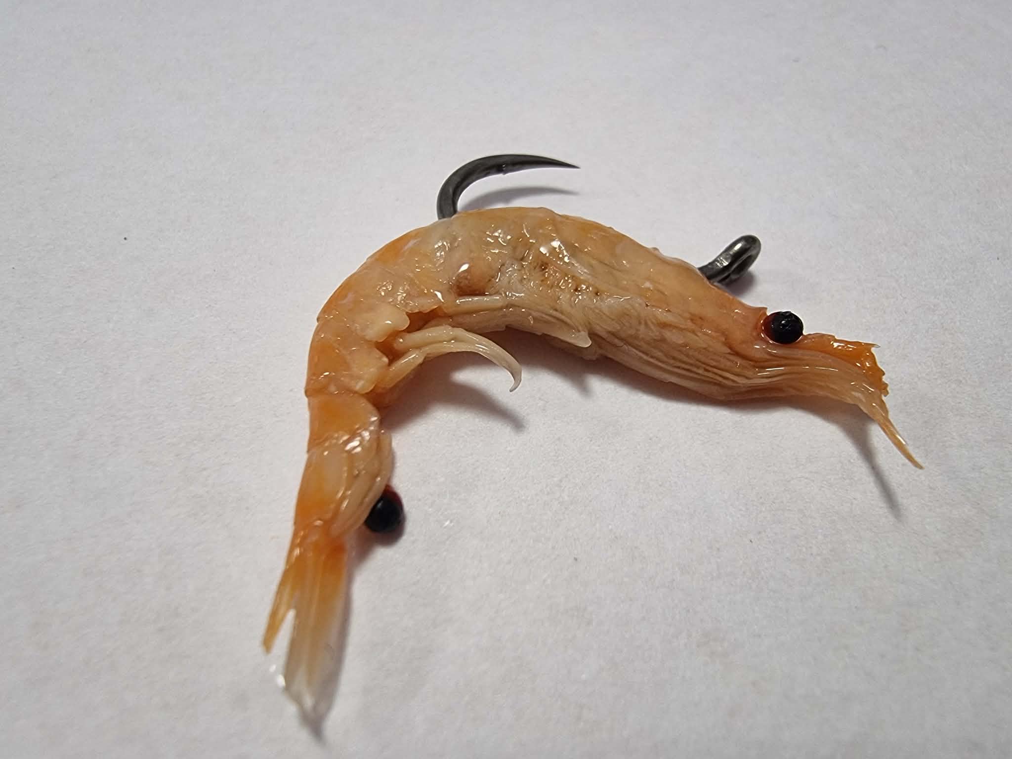 Konzervovaný Antarktický krill 100g