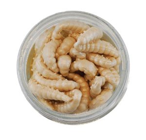 PWRBT OSIE LARVY 2,5cm NATURAL 55ks