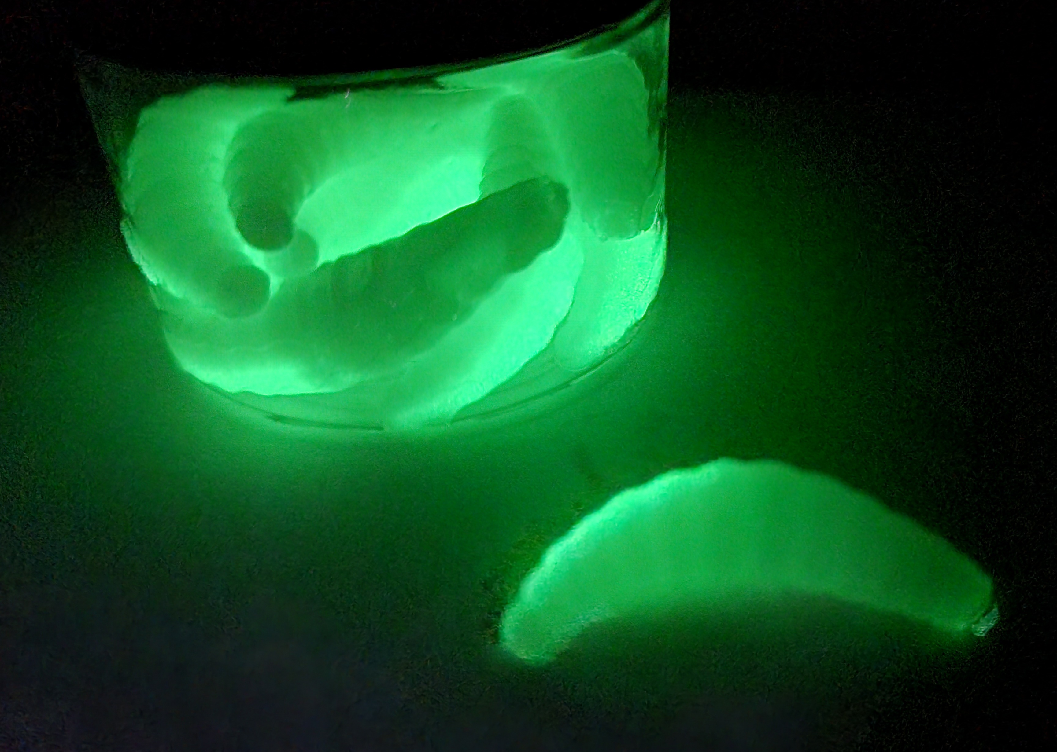 Maggot WHITE GLOW (WGN)  35mm - 1,2g